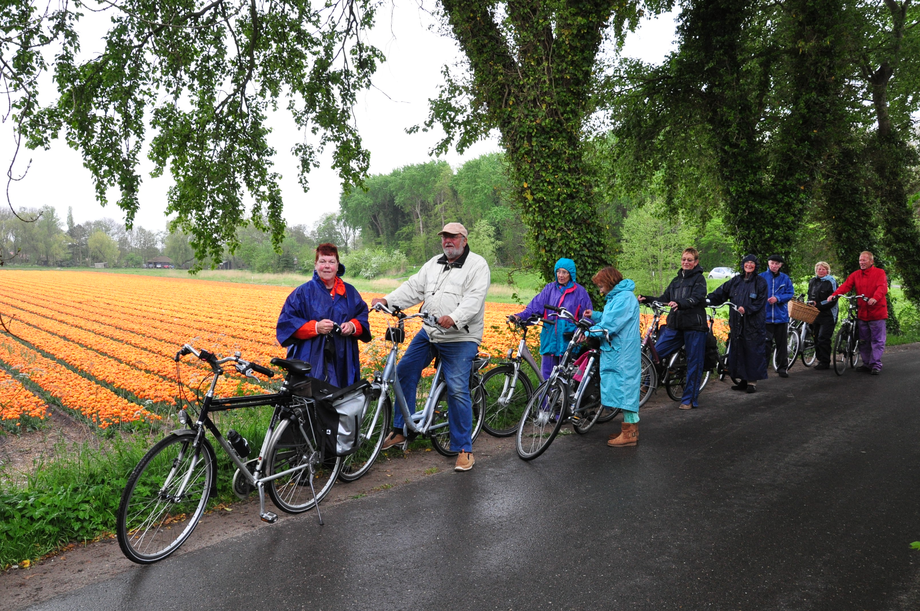 Bloembollen fietstocht 2014